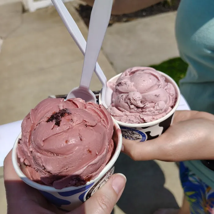 MOO-ville Creamery Picture 2