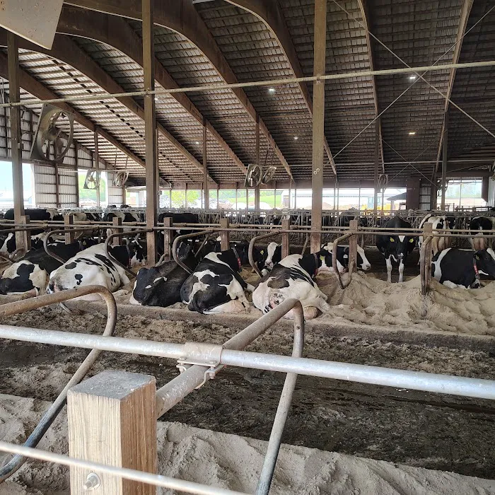 MOO-ville Creamery Picture 8