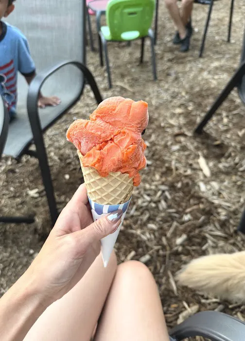Scooper's Ice Cream Shoppe Picture 5