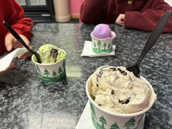 Nini's Ice cream Picture 4