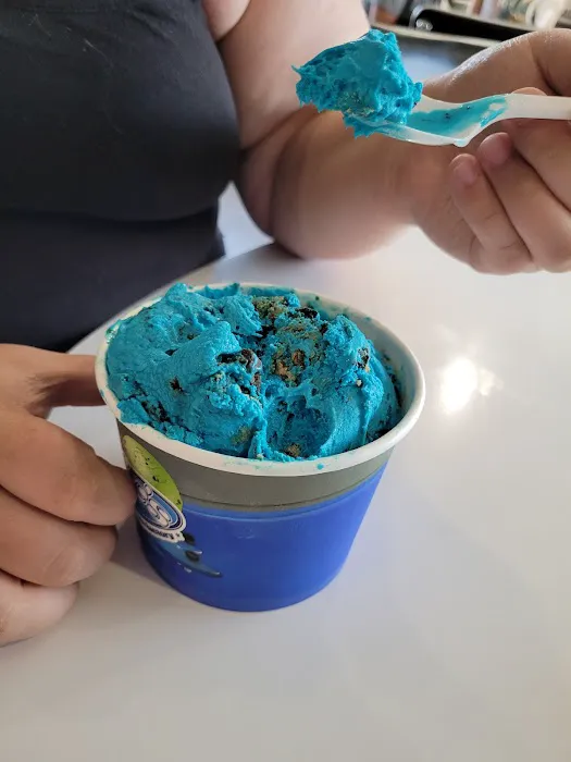 Eric's Ice Cream Factory Picture 8