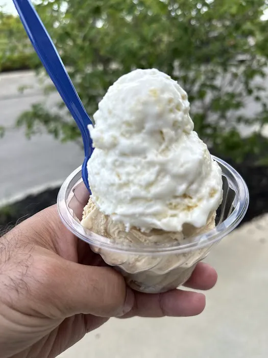 Handel's Homemade Ice Cream Picture 1