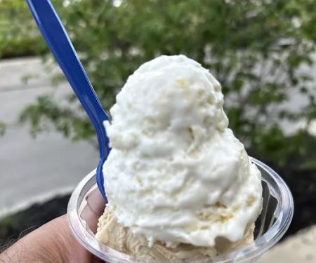 Handel's Homemade Ice Cream