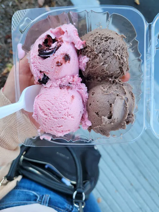 Handel's Homemade Ice Cream Picture 10