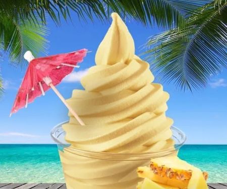 Paradise Shaved Ice & Ice Cream Shop - Carmel, IN
