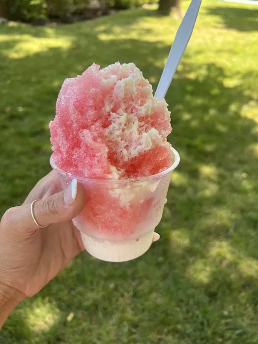 Paradise Shaved Ice & Ice Cream Shop - Carmel, IN Picture 6