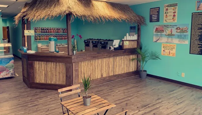 Paradise Shaved Ice & Ice Cream Shop - Fishers, IN Picture 5