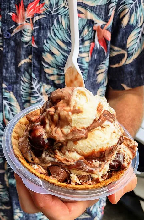 Handel's Homemade Ice Cream Picture 8