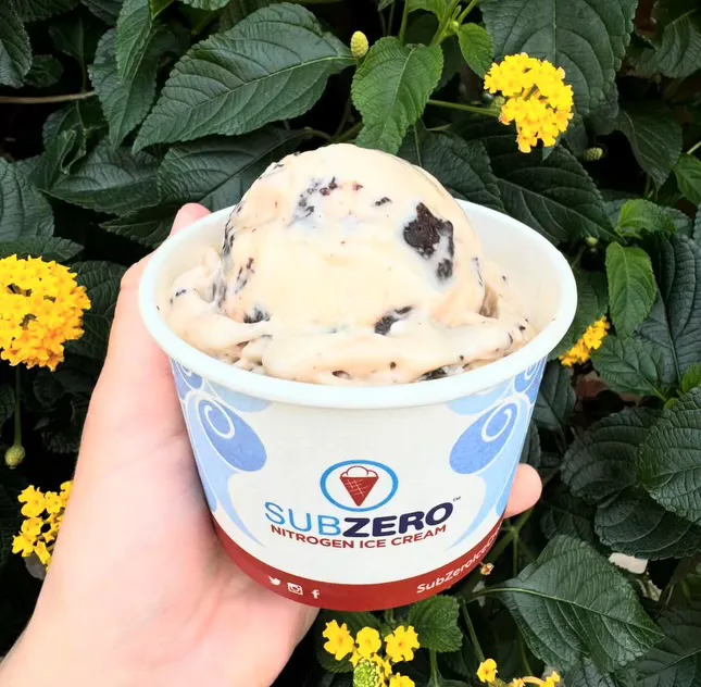 Sub Zero Nitrogen Ice Cream Picture 2