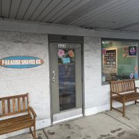 Paradise Shaved Ice & Ice Cream Shop - Fortville, IN ico