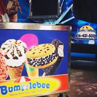 Bumblebee Ice Cream ico