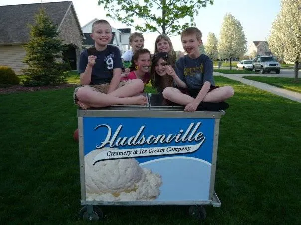 Bumblebee Ice Cream Picture 6