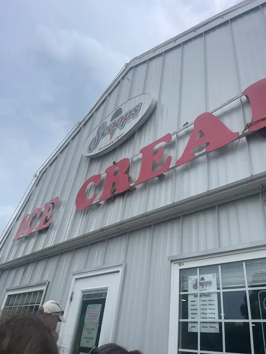 Scoops Ice Cream Picture 5