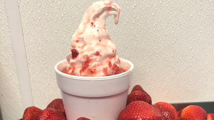 Sattler's Tasty Treat Picture 3