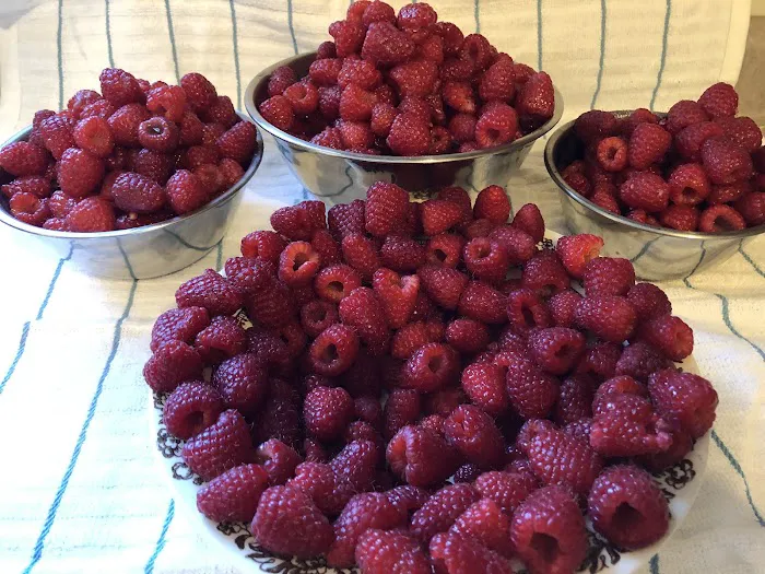 Sattler's Tasty Treat Picture 8