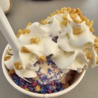 Dairy Depot ico