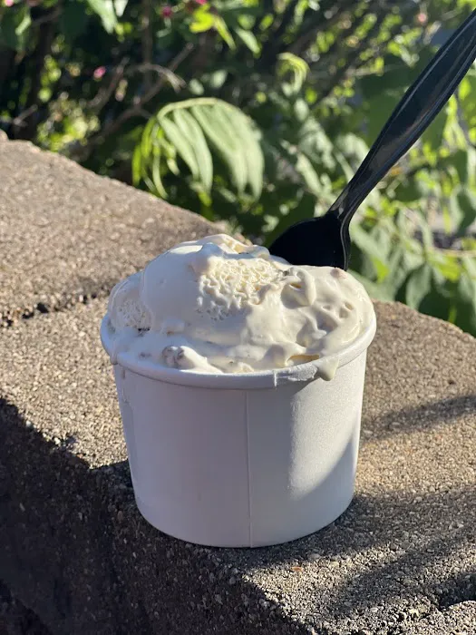 Scratch Ice Cream Picture 9