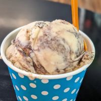 Flying Pig Treat Shop ico