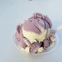 Cowlicks Ice Cream Shoppe and Lamoreaux Farm Market ico
