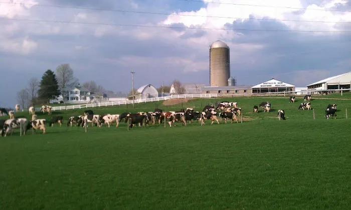 MOO-ville Creamery in Ionia 