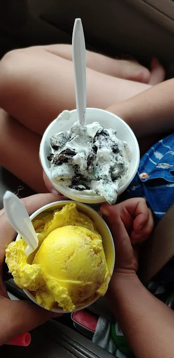 Eric's Ice Cream Factory Picture 6