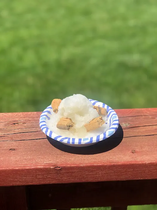 Hoosier Tropical Sno Picture 4