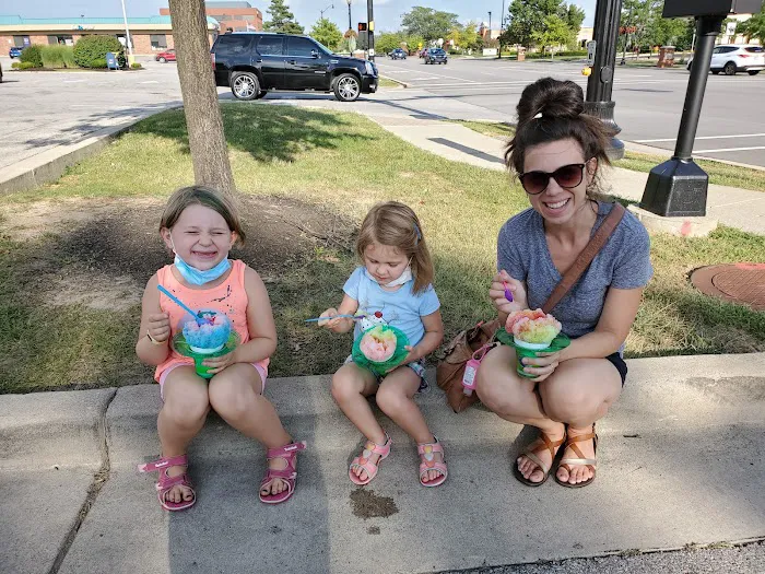 Hoosier Tropical Sno Picture 8