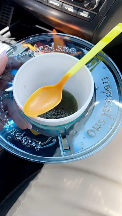 Hoosier Tropical Sno Picture 10