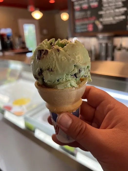 The Scoop Picture 8