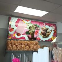 LA MICHOACANA ico