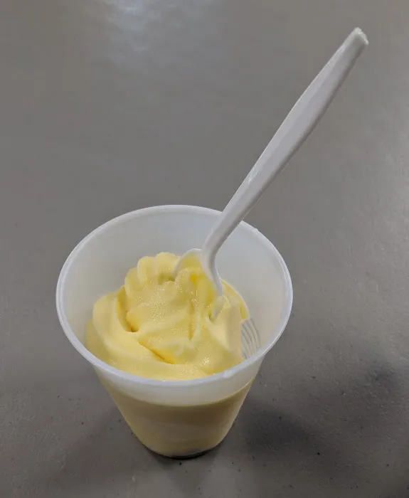 Sundaes At The Park Picture 9