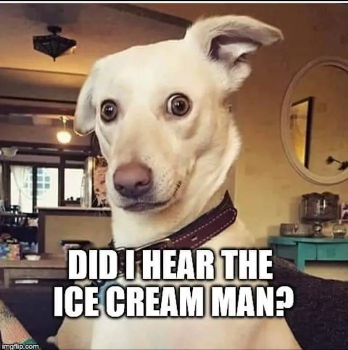 Smiles Ice Cream Truck Picture 6