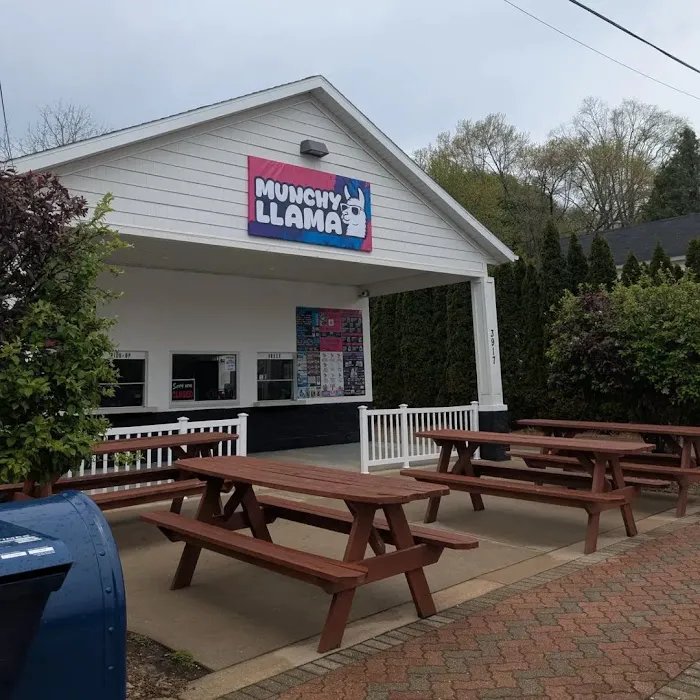 Ice Box Brand at Munchy Llama Picture 3
