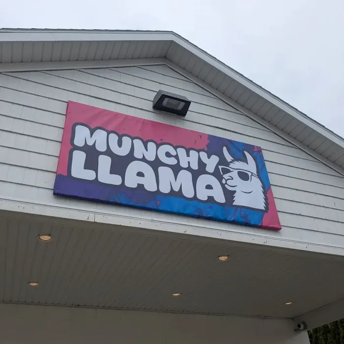 Ice Box Brand at Munchy Llama Picture 2