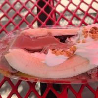 Dairy Delite ico