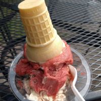 Trailside Treats ico