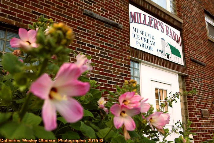 Miller's Ice Cream Parlor Picture 8