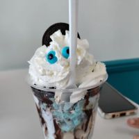 Village Creamery ico