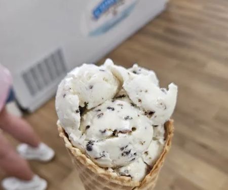 Dreamy Scoops