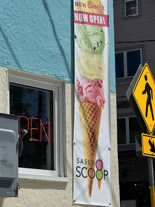 Sassy Scoop Picture 4