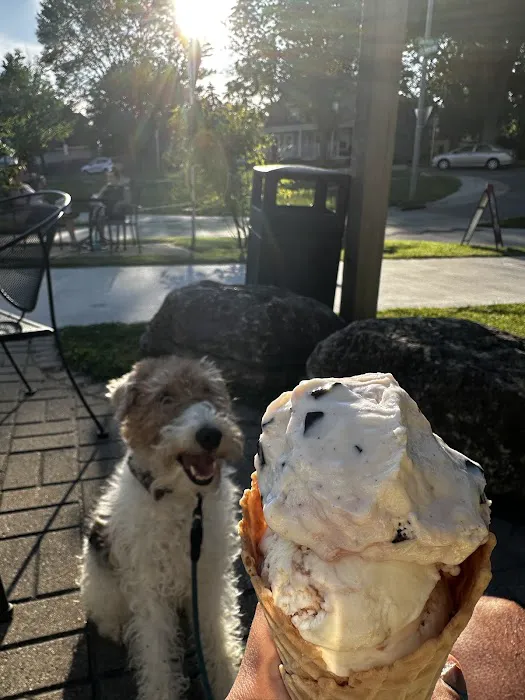 Sassy Scoop Picture 9