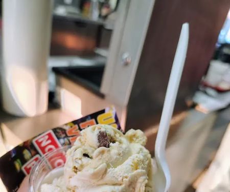 Custard By The Dam