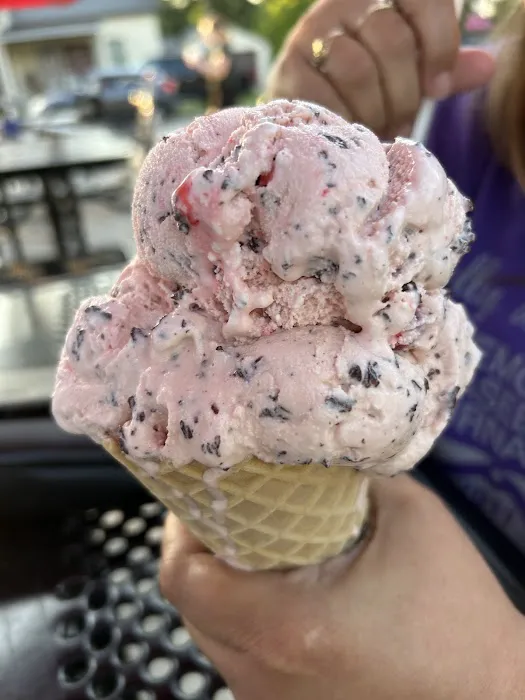 Village Ice Cream & Cafe Picture 4
