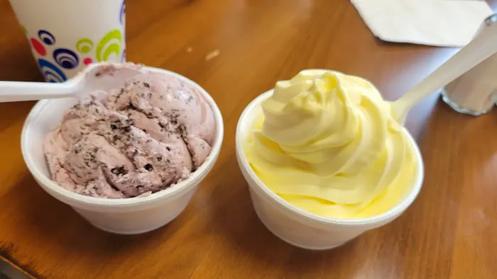 Village Ice Cream & Cafe Picture 5