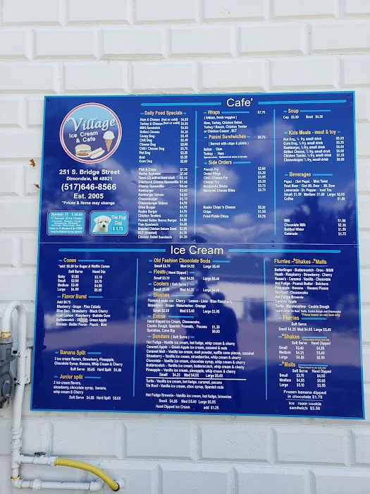 Village Ice Cream & Cafe Picture 8