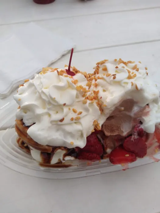 Village Ice Cream & Cafe Picture 10