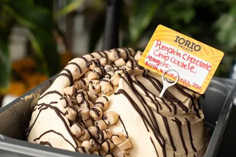Iorio Gelato @ Horrocks Picture 7