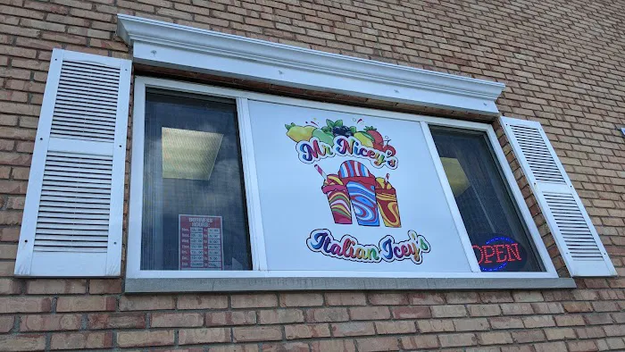 Mr. Nicey's Italian Icey's Picture 2