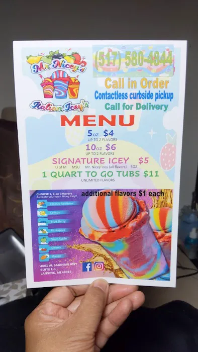 Mr. Nicey's Italian Icey's Picture 5