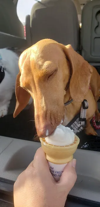Dairy Queen (Treat) Picture 4